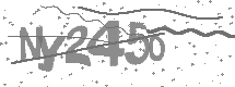 visual captcha